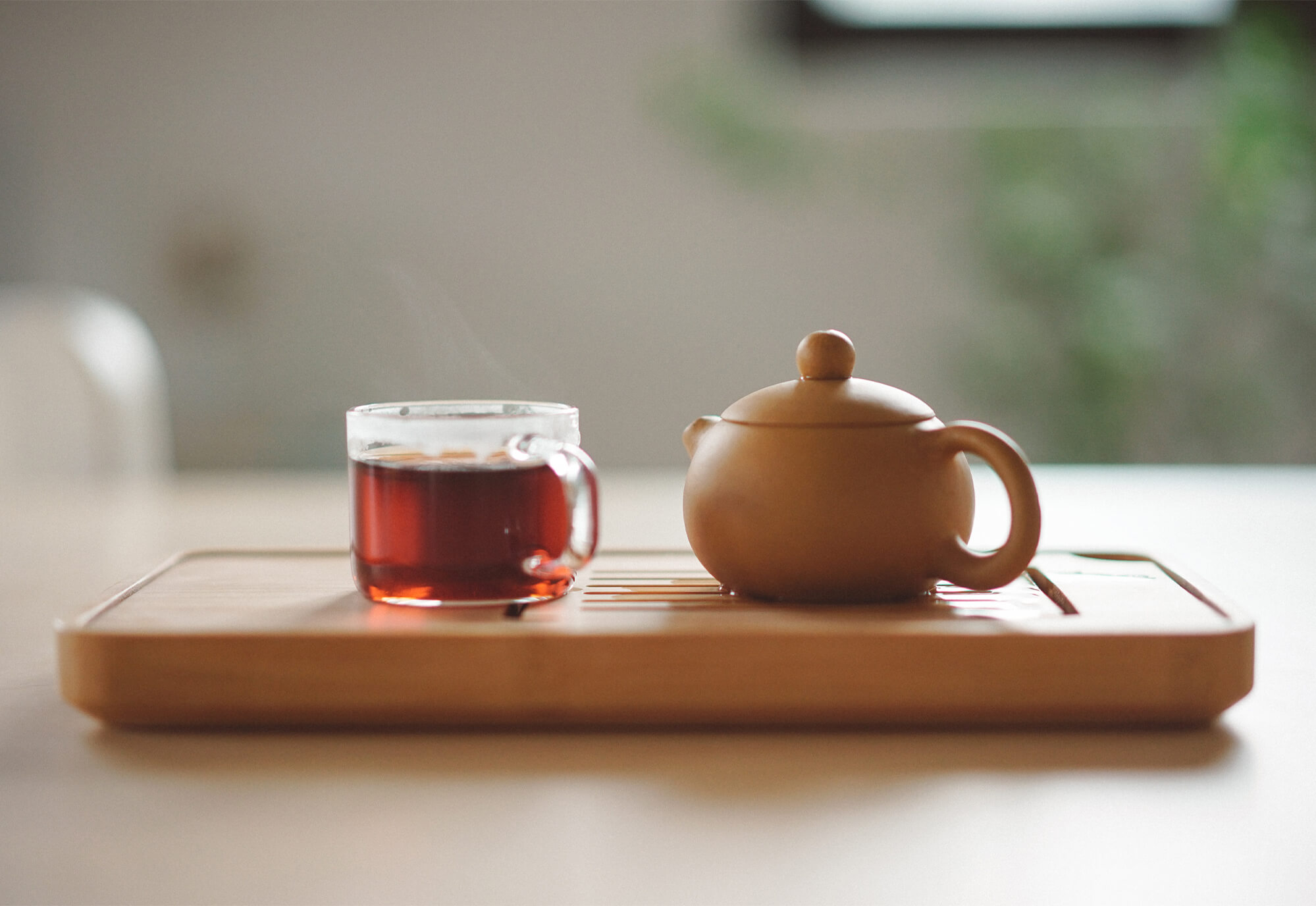 Actividad Tea Experience